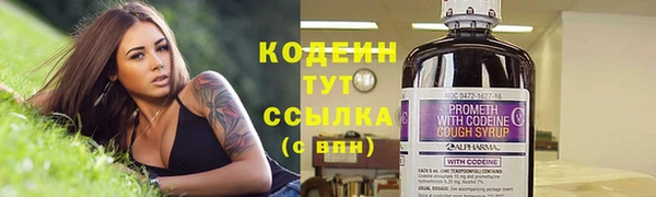 apvp Арсеньев